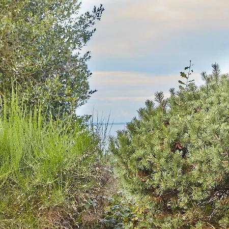 15514-farevejle-vibelunden-42-a Fårevejle