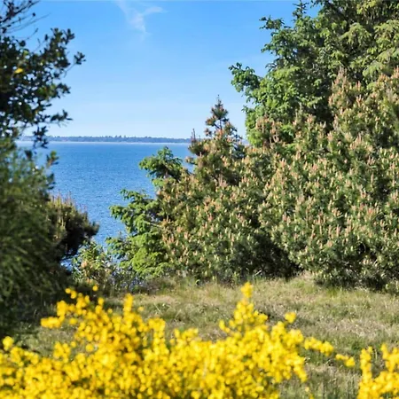 Tatil Evi 15514-farevejle-vibelunden-42-a